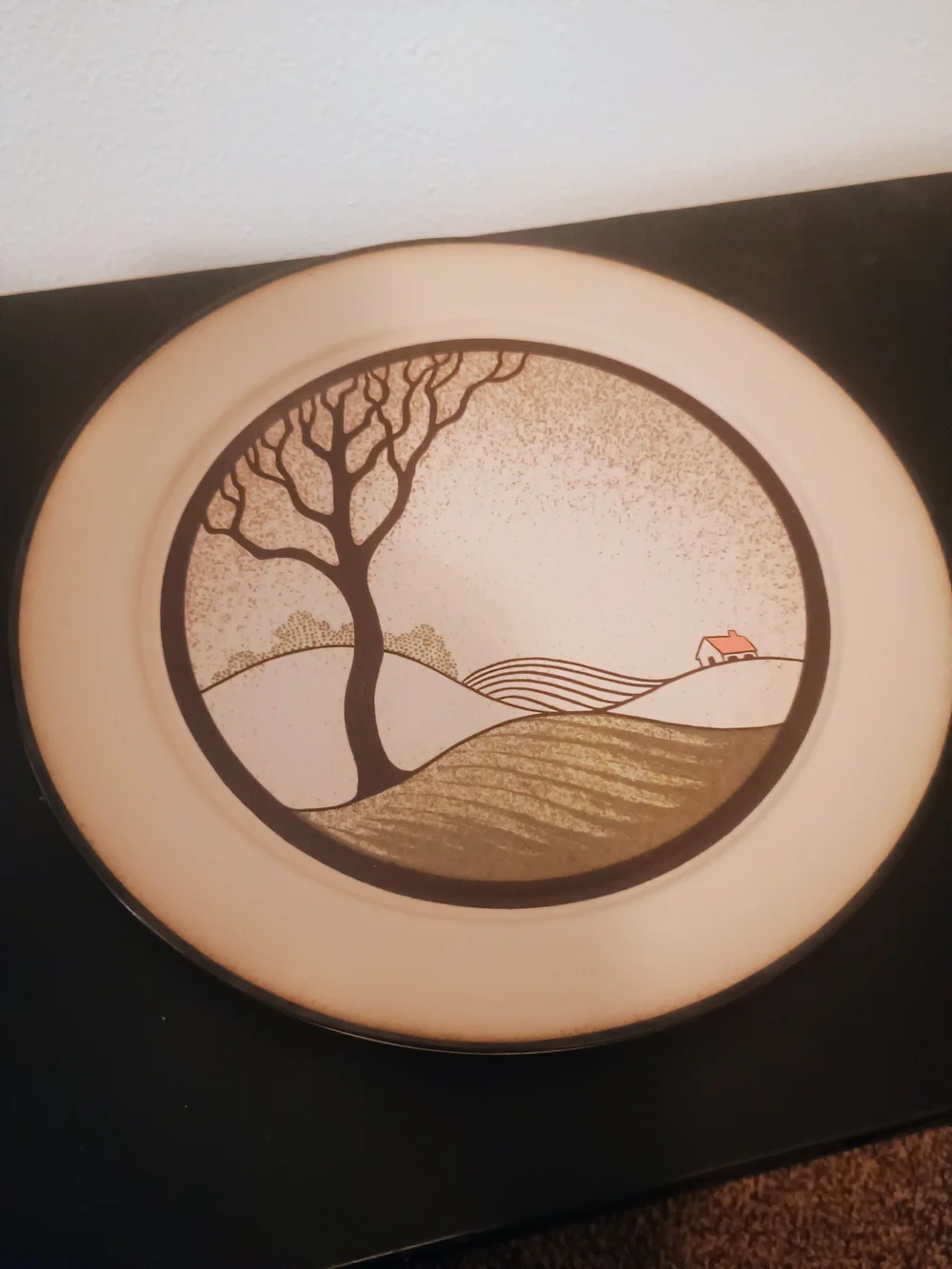 Danby Savoy Dishes Complete Set Will Never Been Used